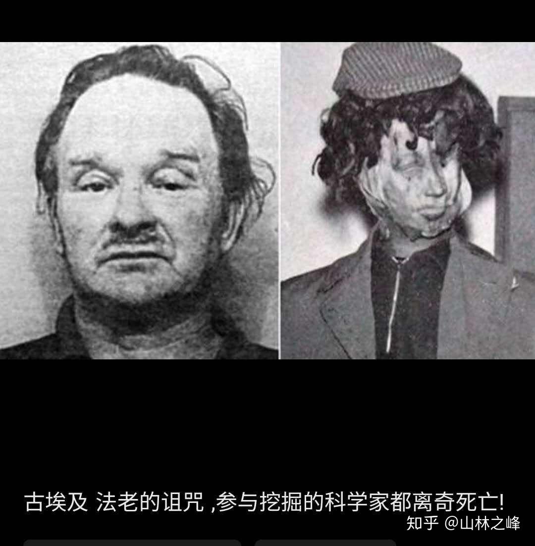 莉莉娜 - 诅咒铠甲女主角角色立绘